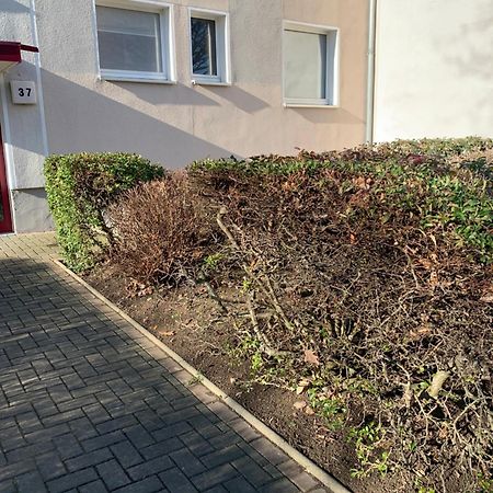 Mycha Ferienwohnung Goslar Exterior foto